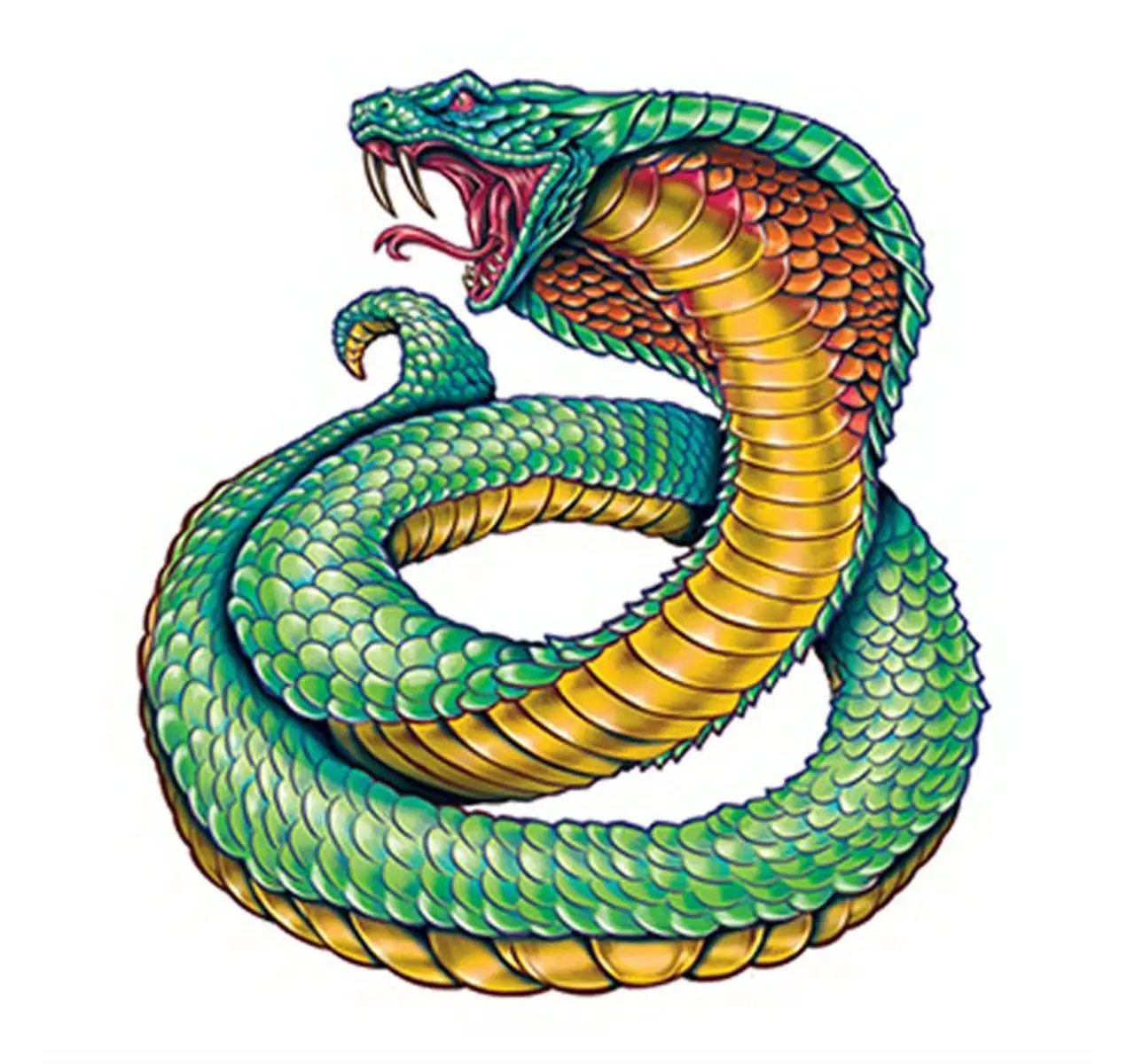 Dibujos de serpientes a color, lápiz y en 3D