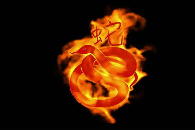 Serpiente de fuego - horóscopo chino